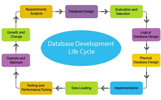 Database Management